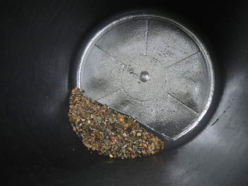Golden Shark