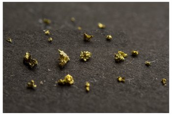 Zlaté hory - rýžování zlata