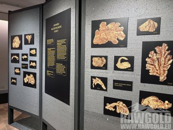Největší český nuget a desítky dalších vzácných nálezů na výstavě Terra Aurea v Písku