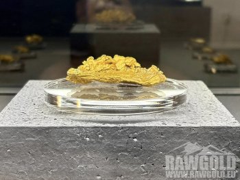 Největší český nuget a desítky dalších vzácných nálezů na výstavě Terra Aurea v Písku