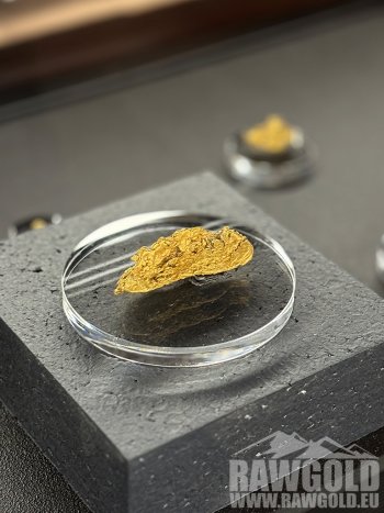 Největší český nuget a desítky dalších vzácných nálezů na výstavě Terra Aurea v Písku