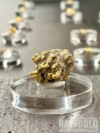 Největší český nuget a desítky dalších vzácných nálezů na výstavě Terra Aurea v Písku