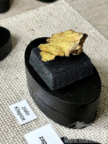 Největší český nuget a desítky dalších vzácných nálezů na výstavě Terra Aurea v Písku