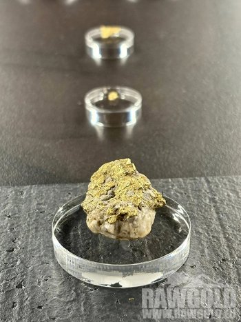 Největší český nuget a desítky dalších vzácných nálezů na výstavě Terra Aurea v Písku