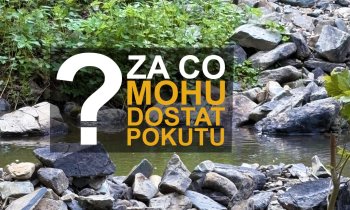 Nejčastější pokuty při rýžování zlata podle zemí