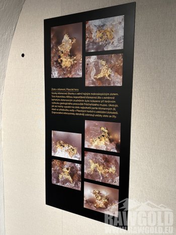 Největší český nuget a desítky dalších vzácných nálezů na výstavě Terra Aurea v Písku