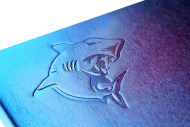 Rýžovací splav GoldenShark M 20 x 45 cm